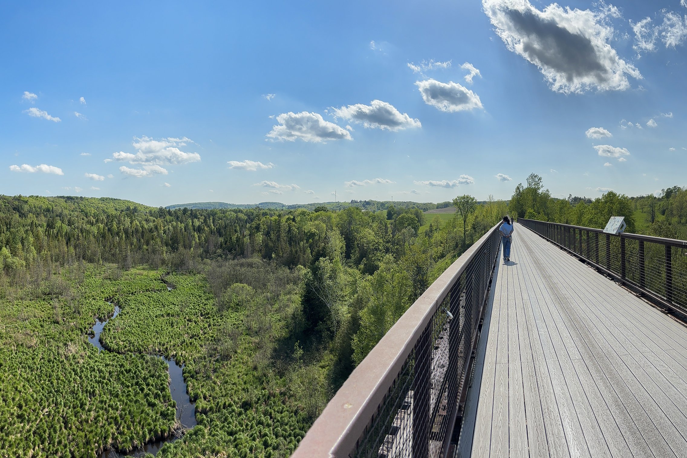 Kawartha Lakes