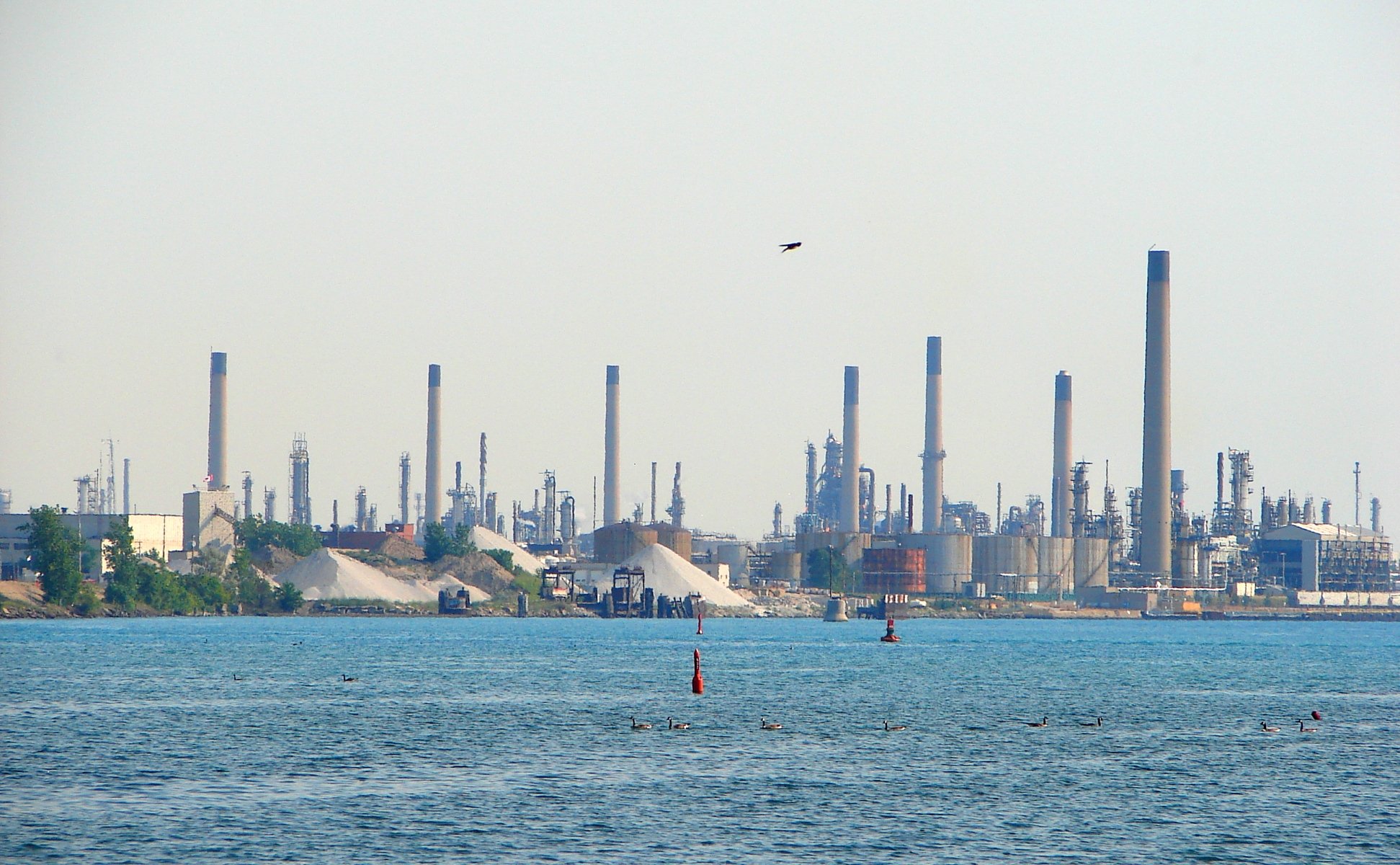 Sarnia