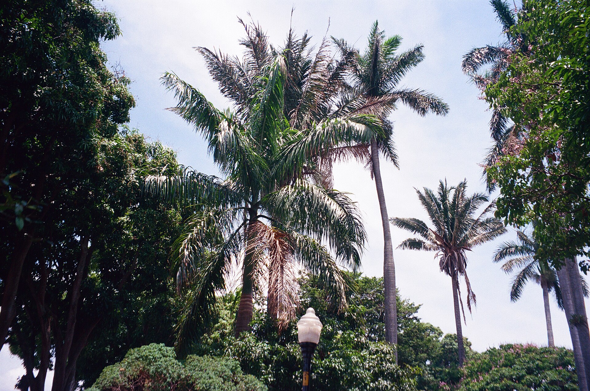 Alajuela