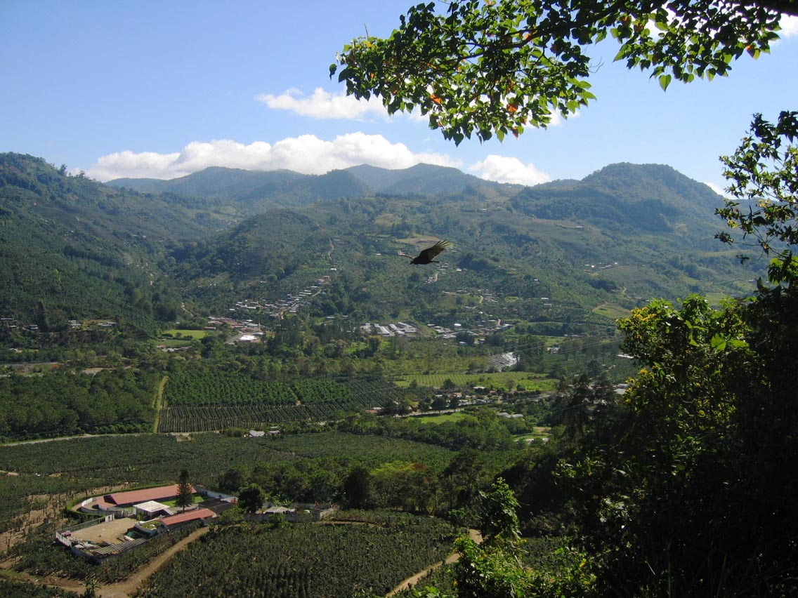 Orosi Valley