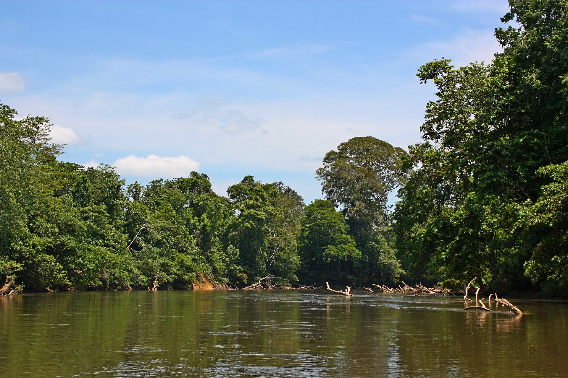 Sarapiquí