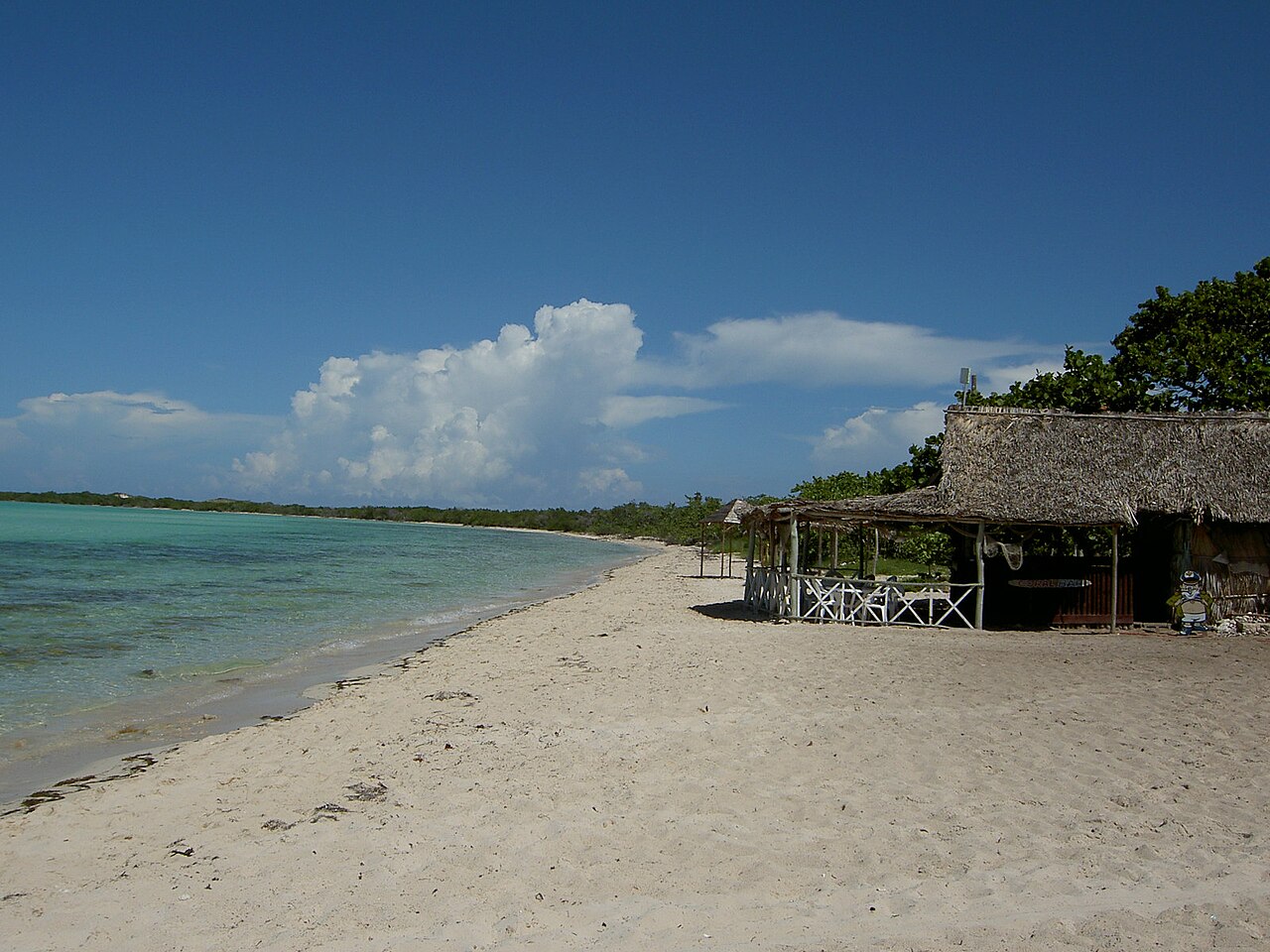 Cayo Coco