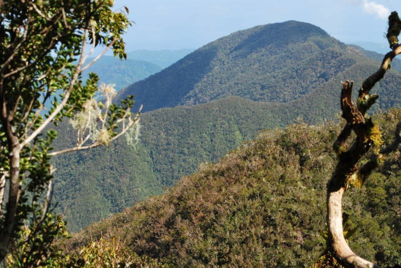 Blue Mountains