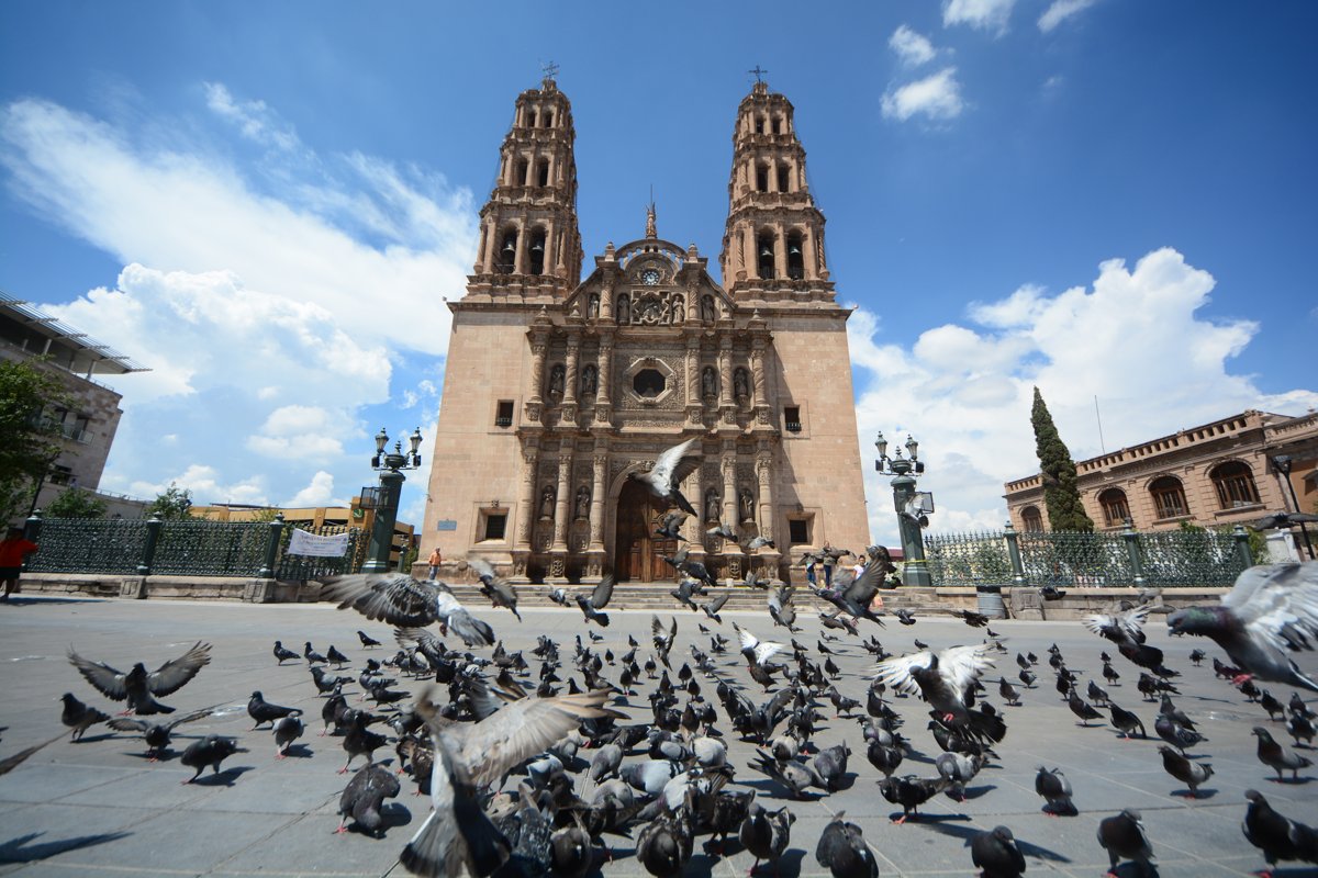 Chihuahua