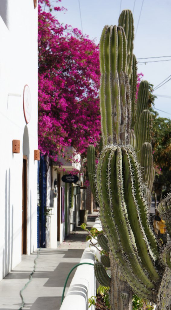 Todos Santos