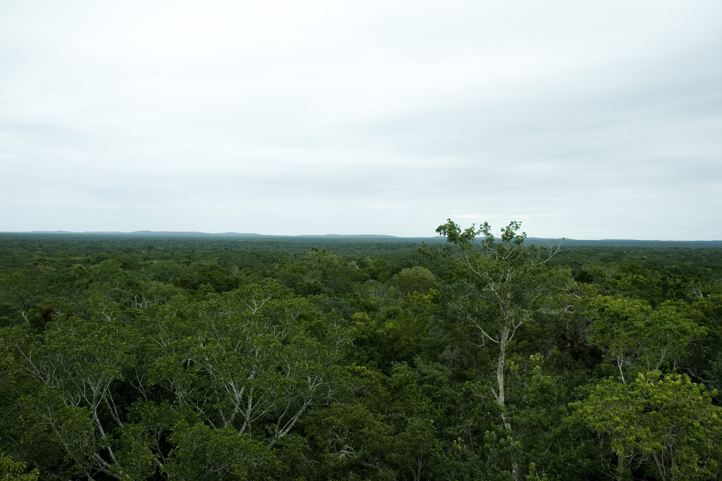 Campeche