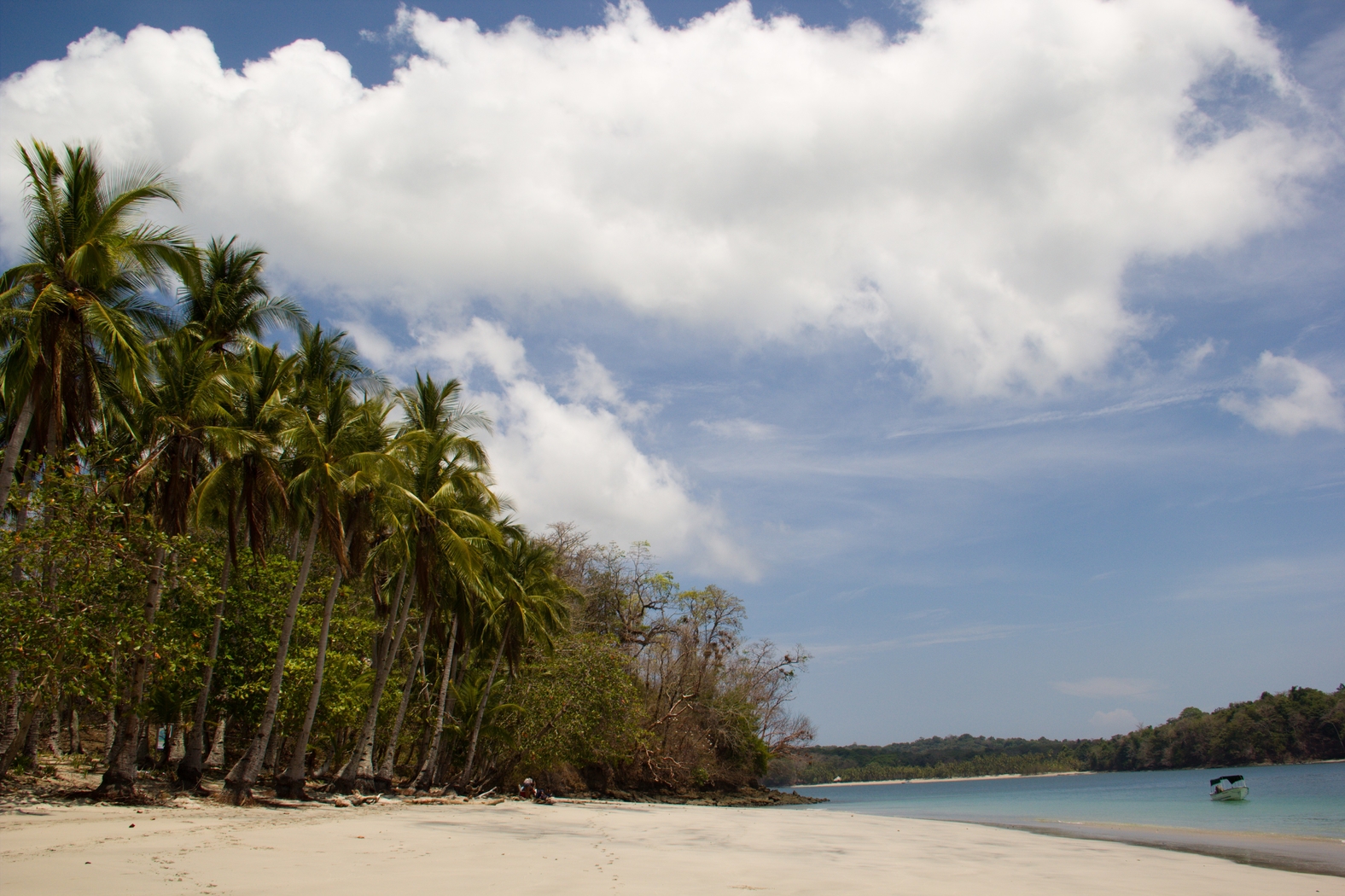 Gulf of Chiriquí National Marine Park