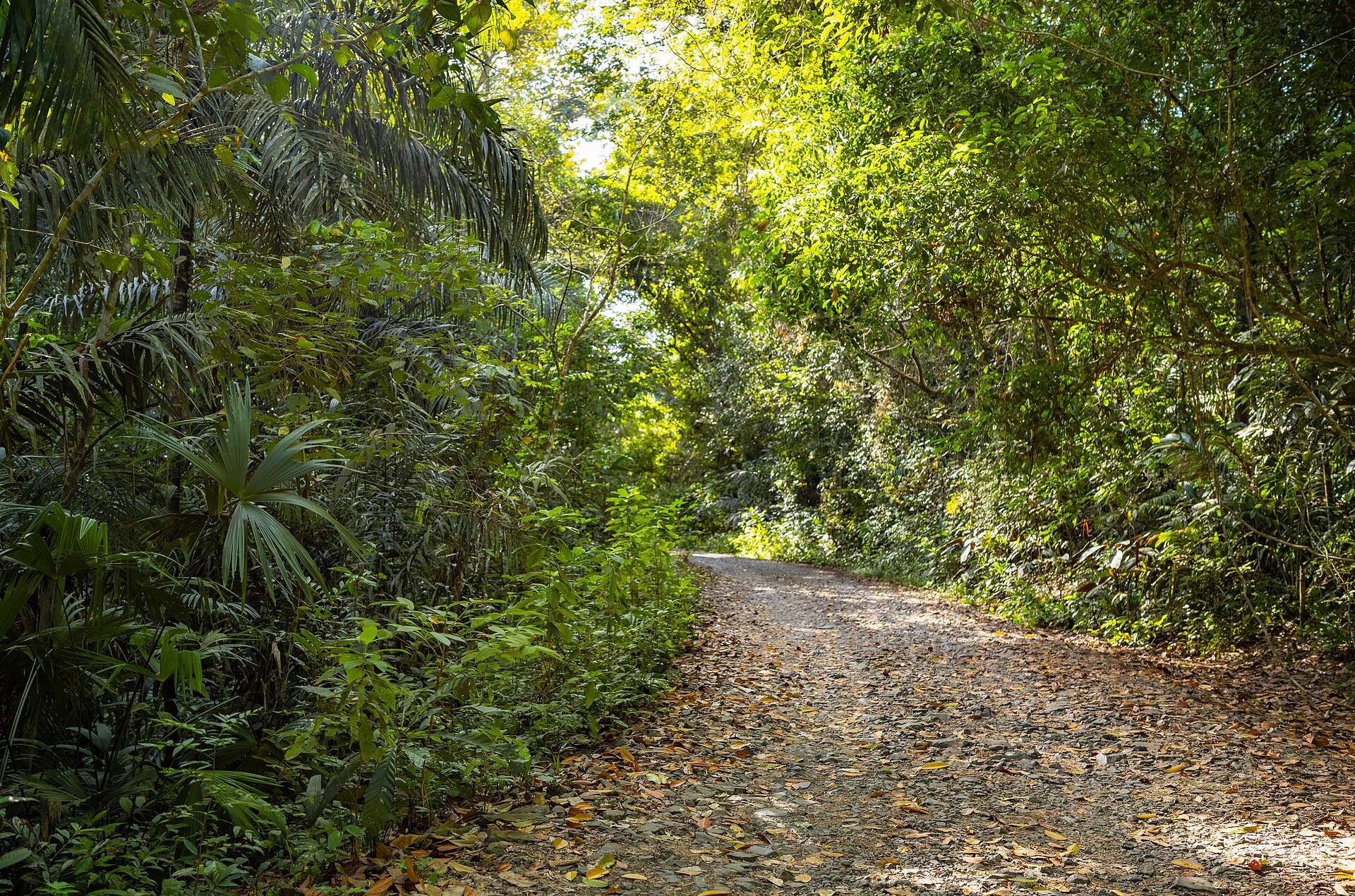 Soberanía National Park