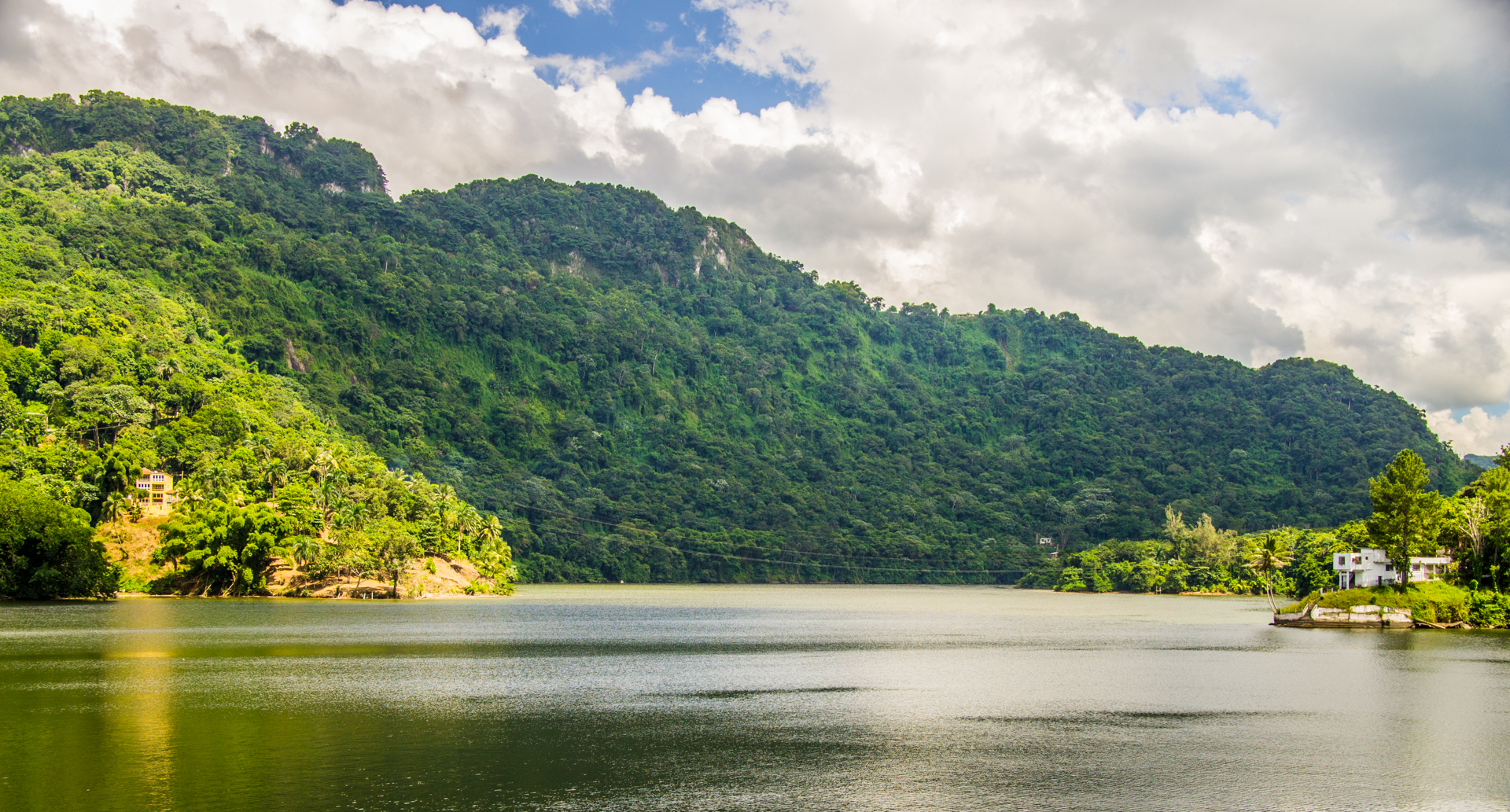 Ciales