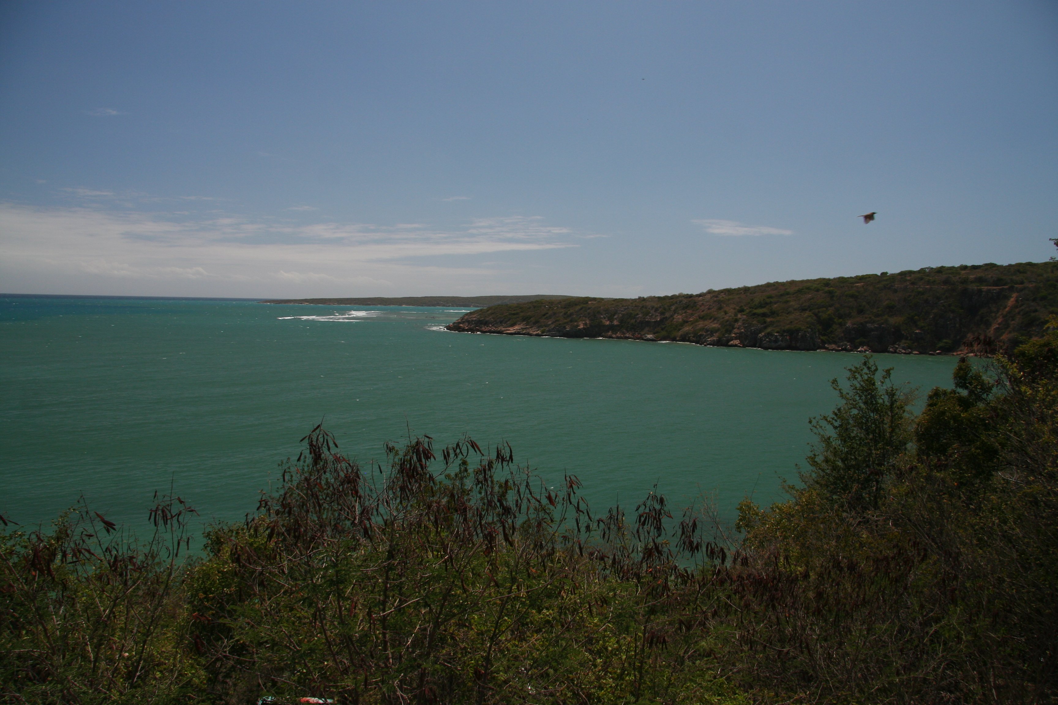 Guanica