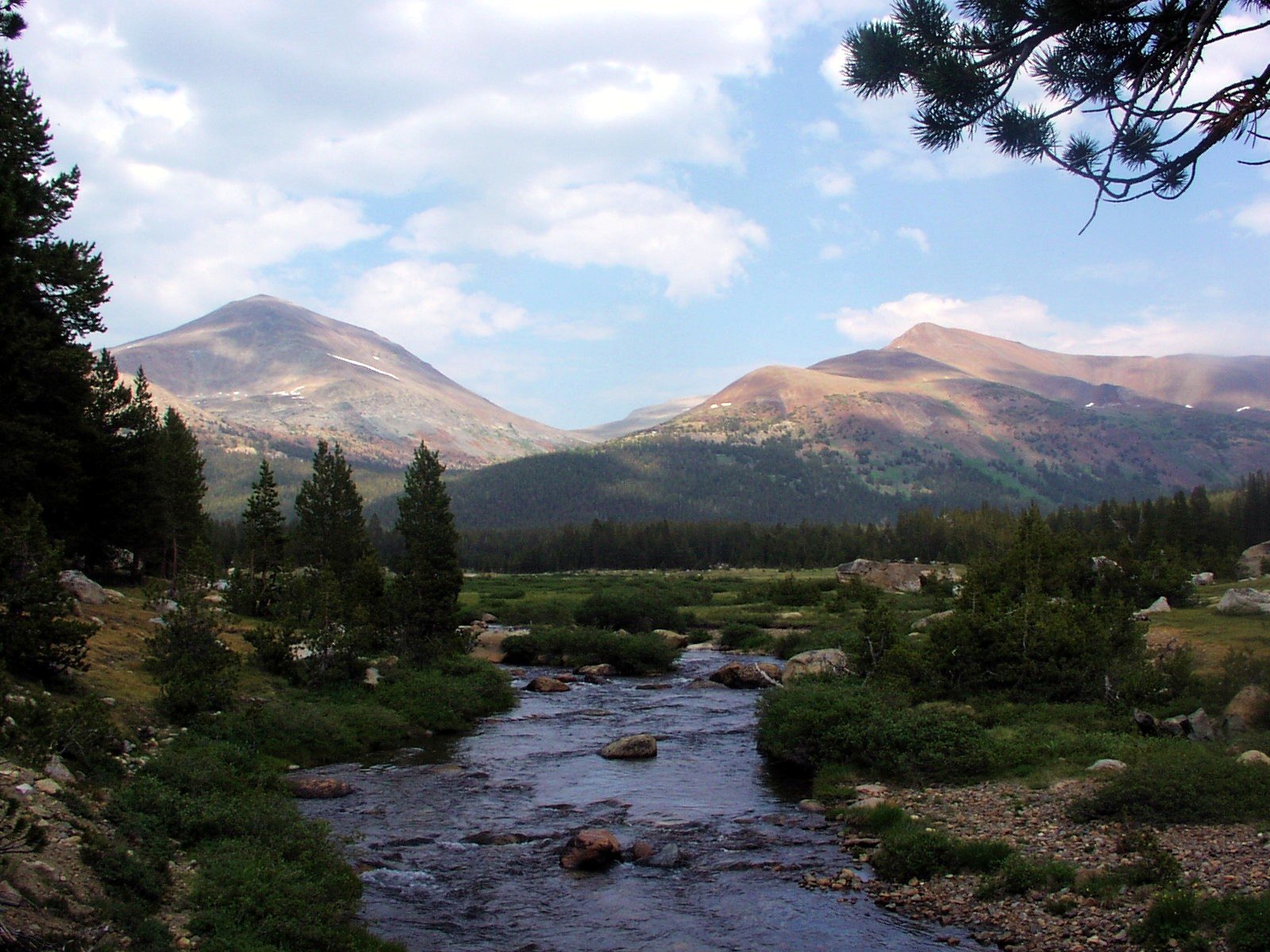 High Sierra