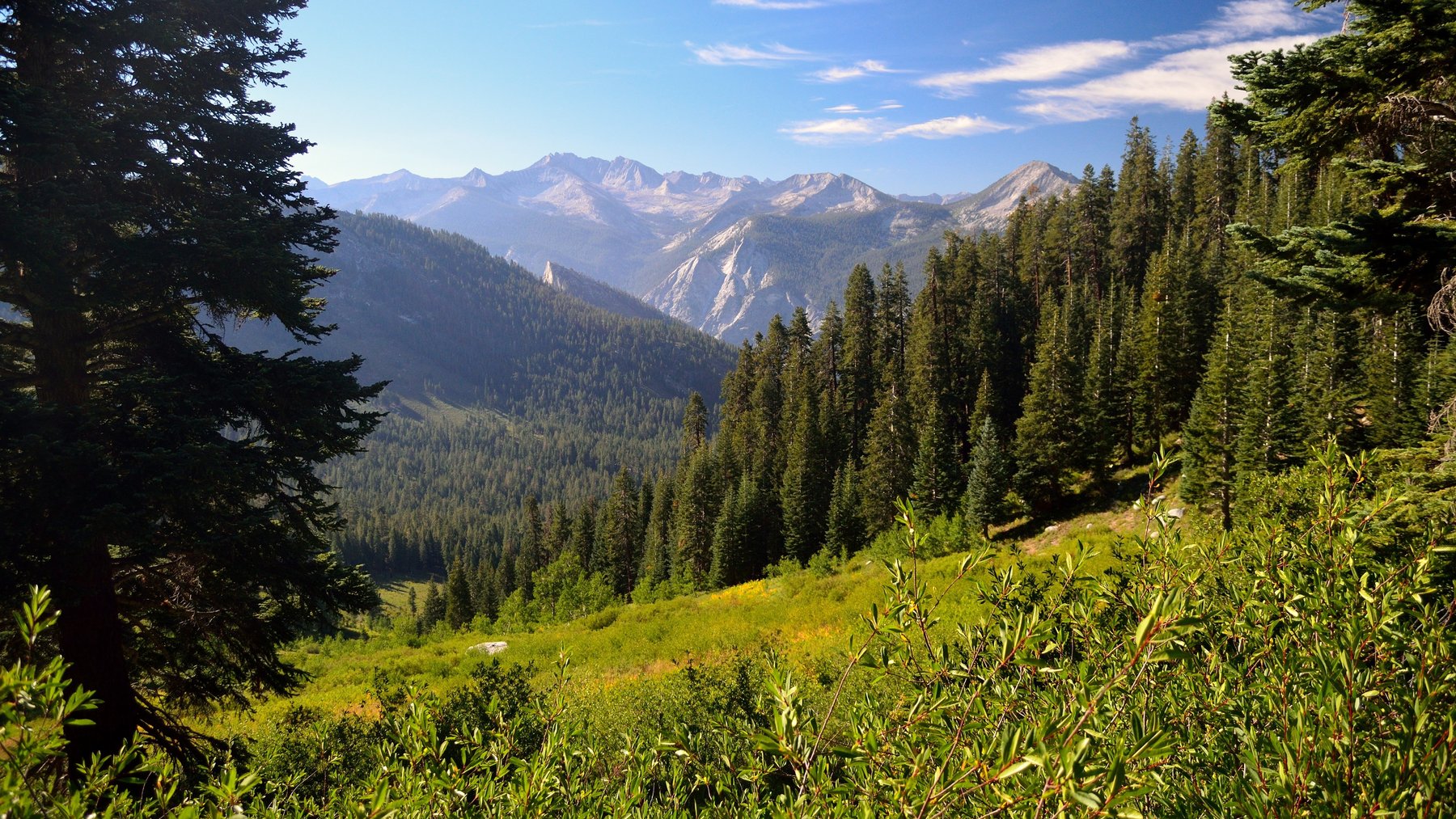 Kings Canyon