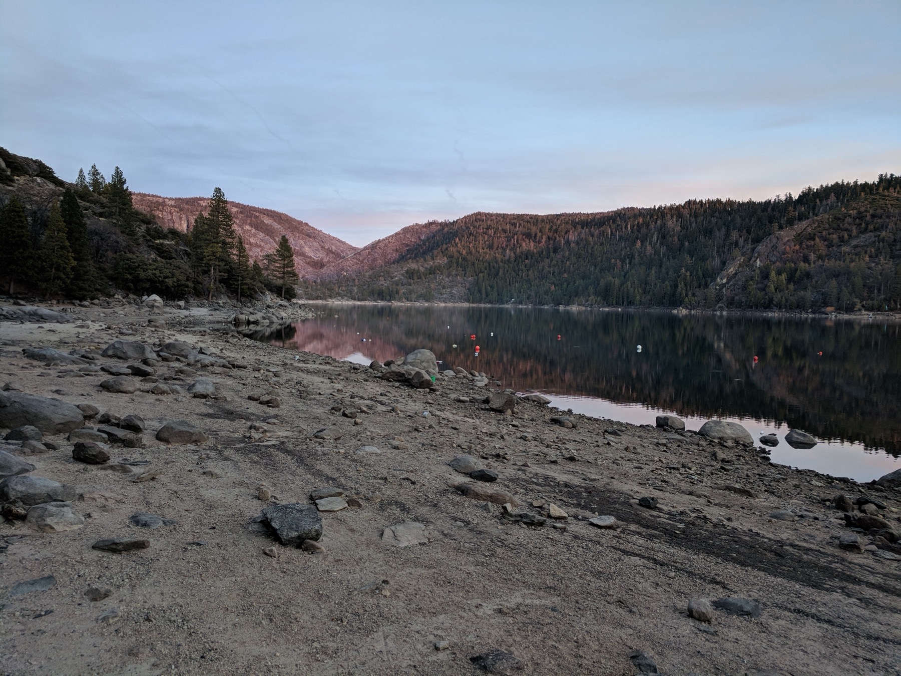 Pinecrest