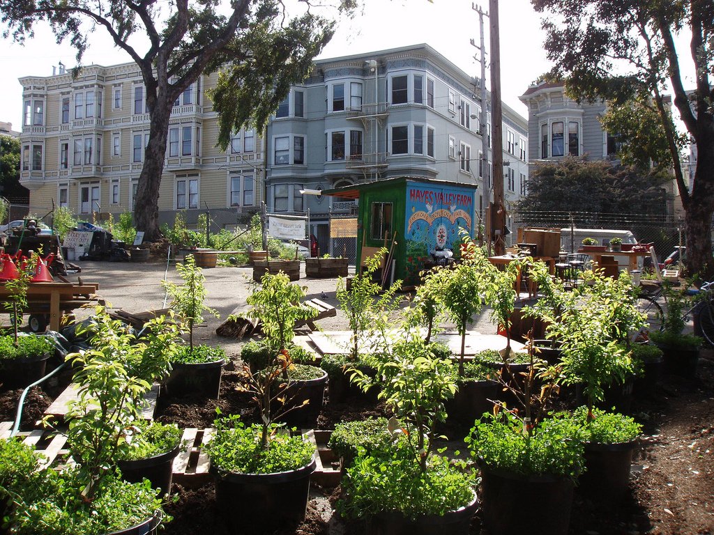 Hayes Valley