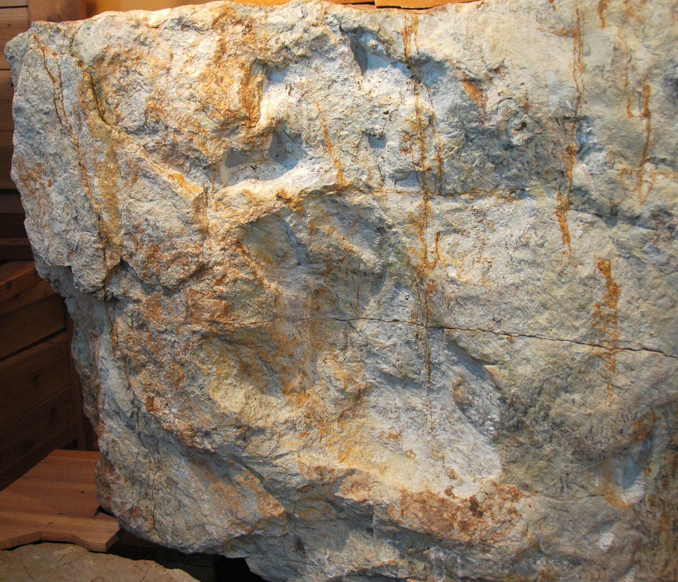 Dinosaur Ridge