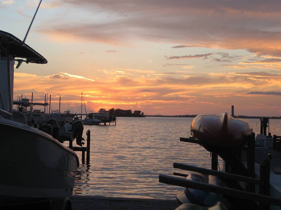 Palm Harbor