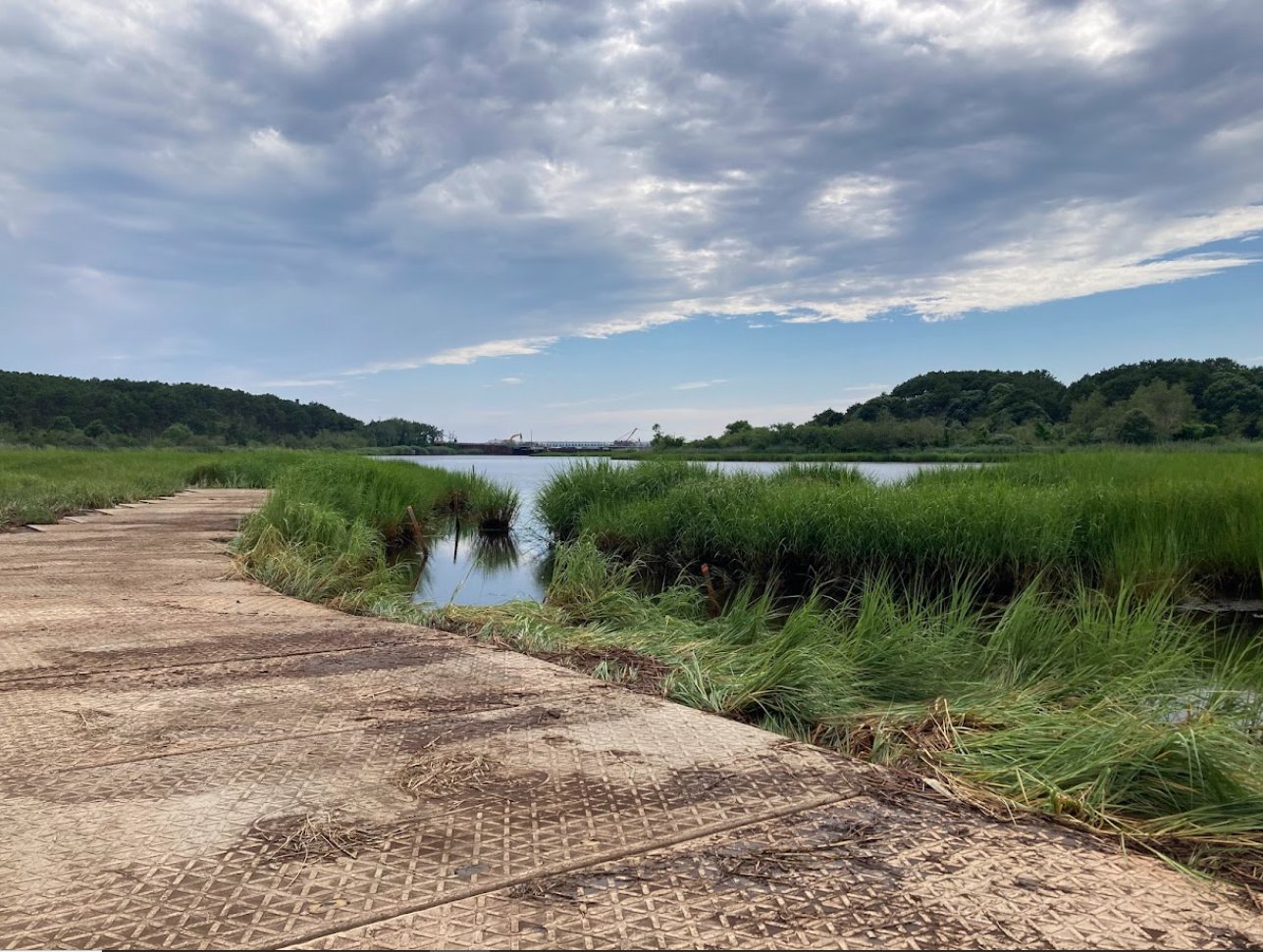 Wellfleet