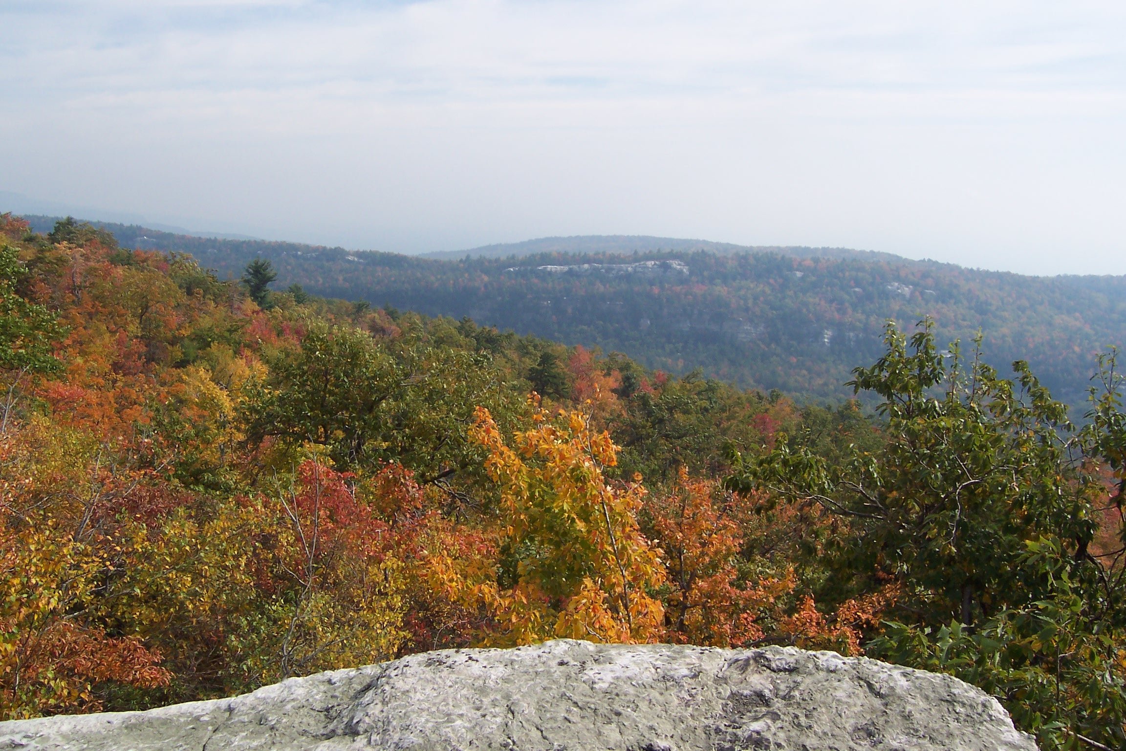 New Paltz