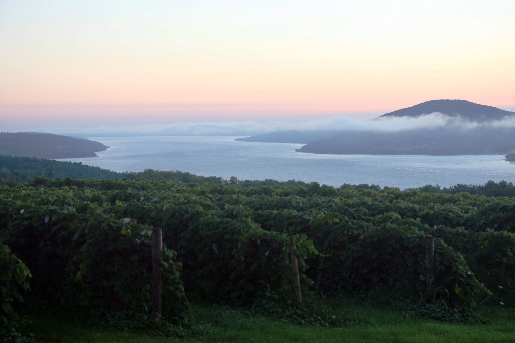 The Finger Lakes