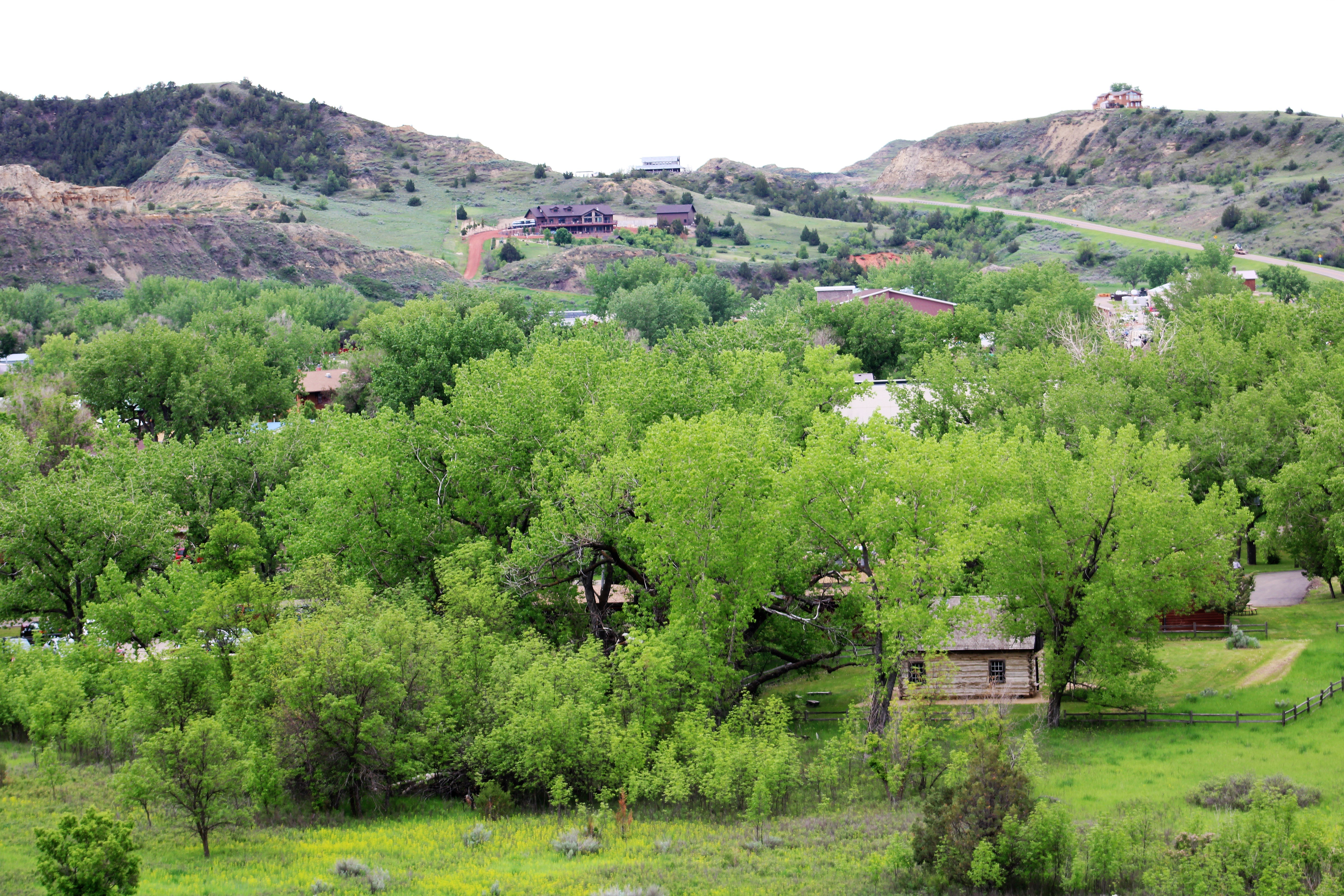 Medora