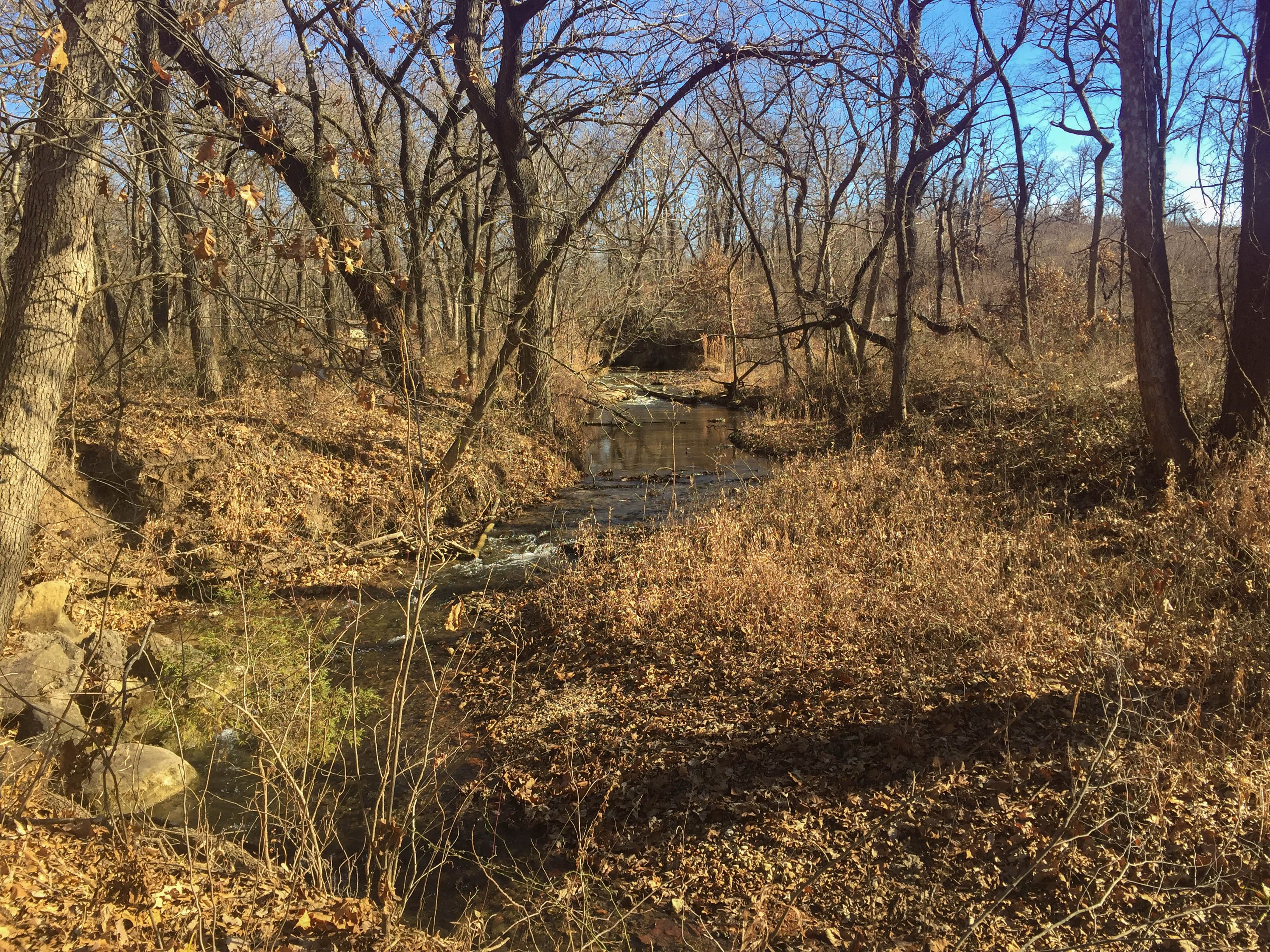 Chickasaw