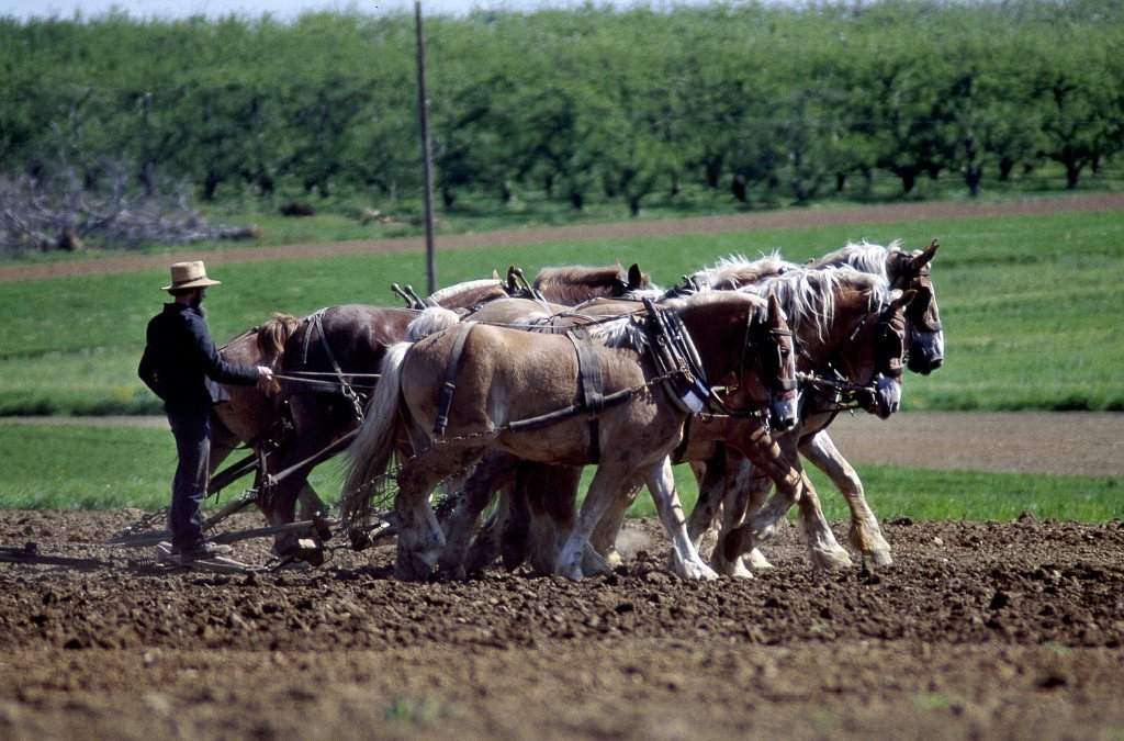 Lancaster County
