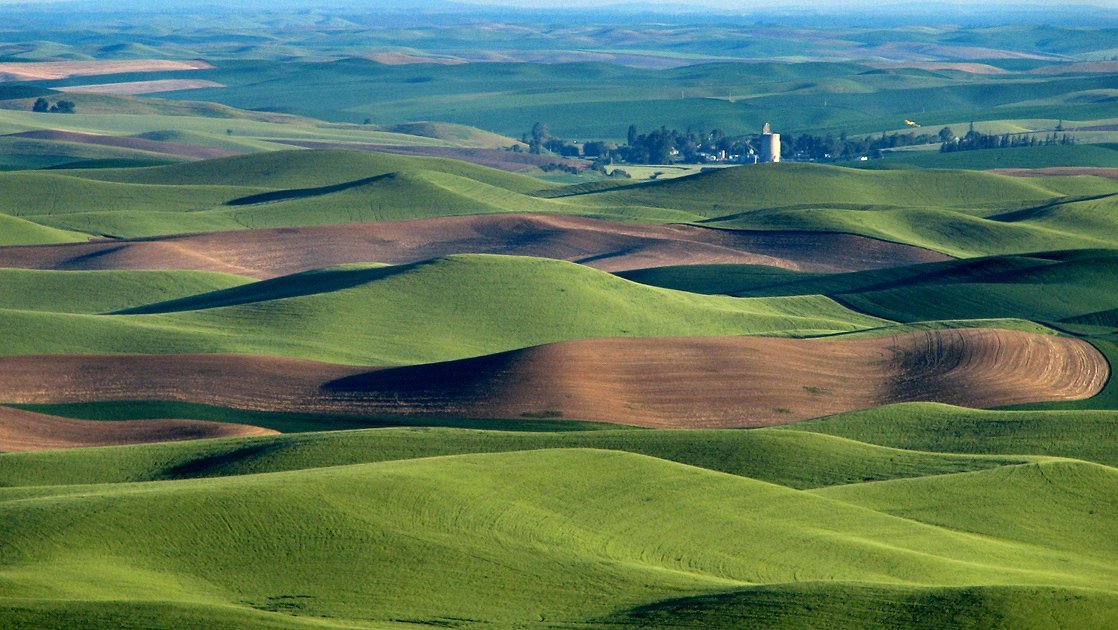 The Palouse