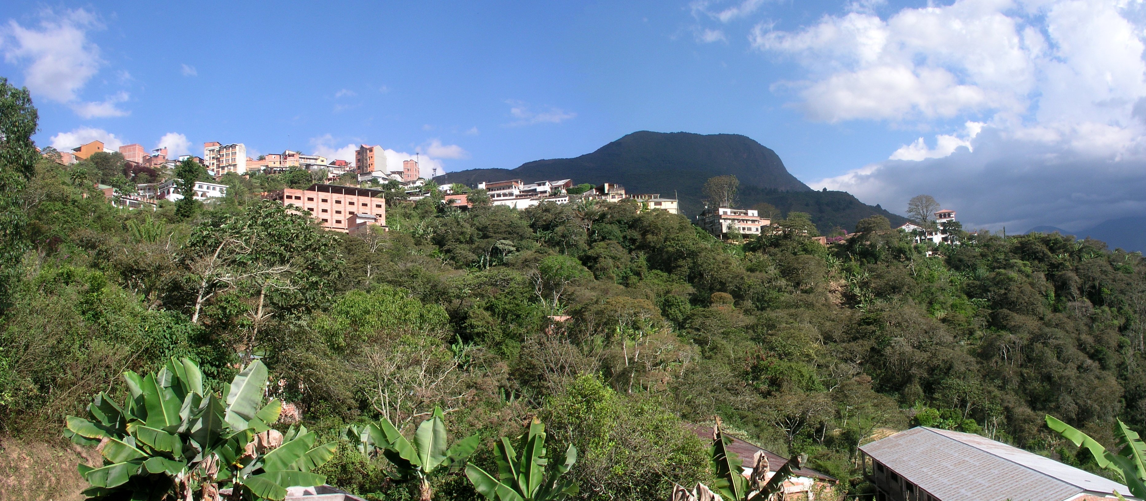 Coroico
