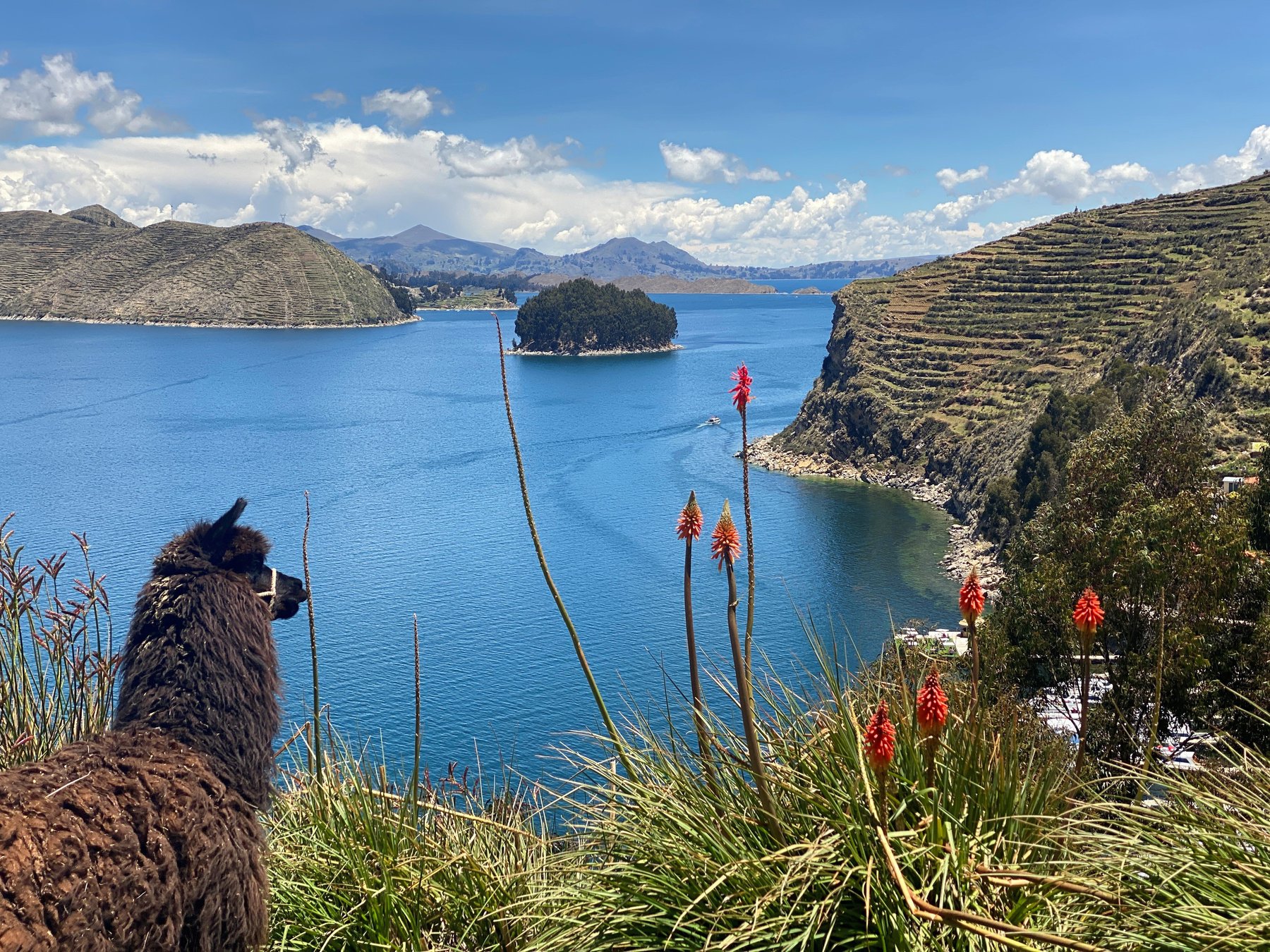Lake Titicaca