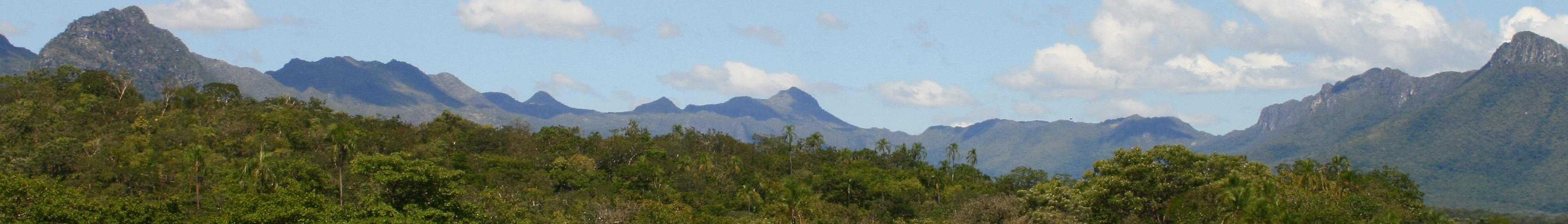 Cavalcante
