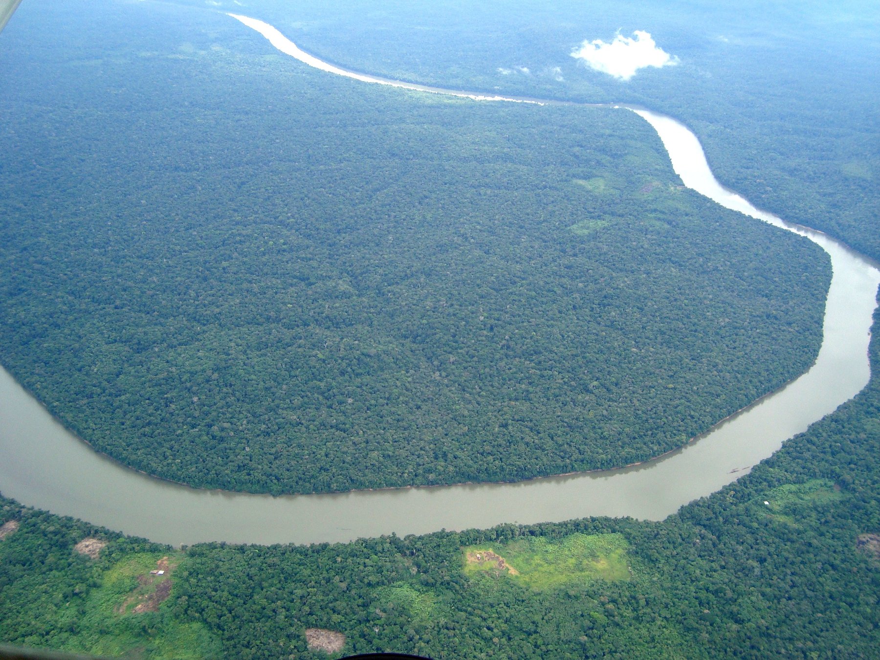 Amazon basin