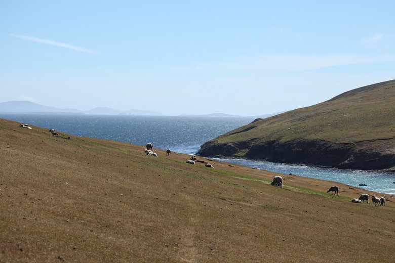 Falkland Islands