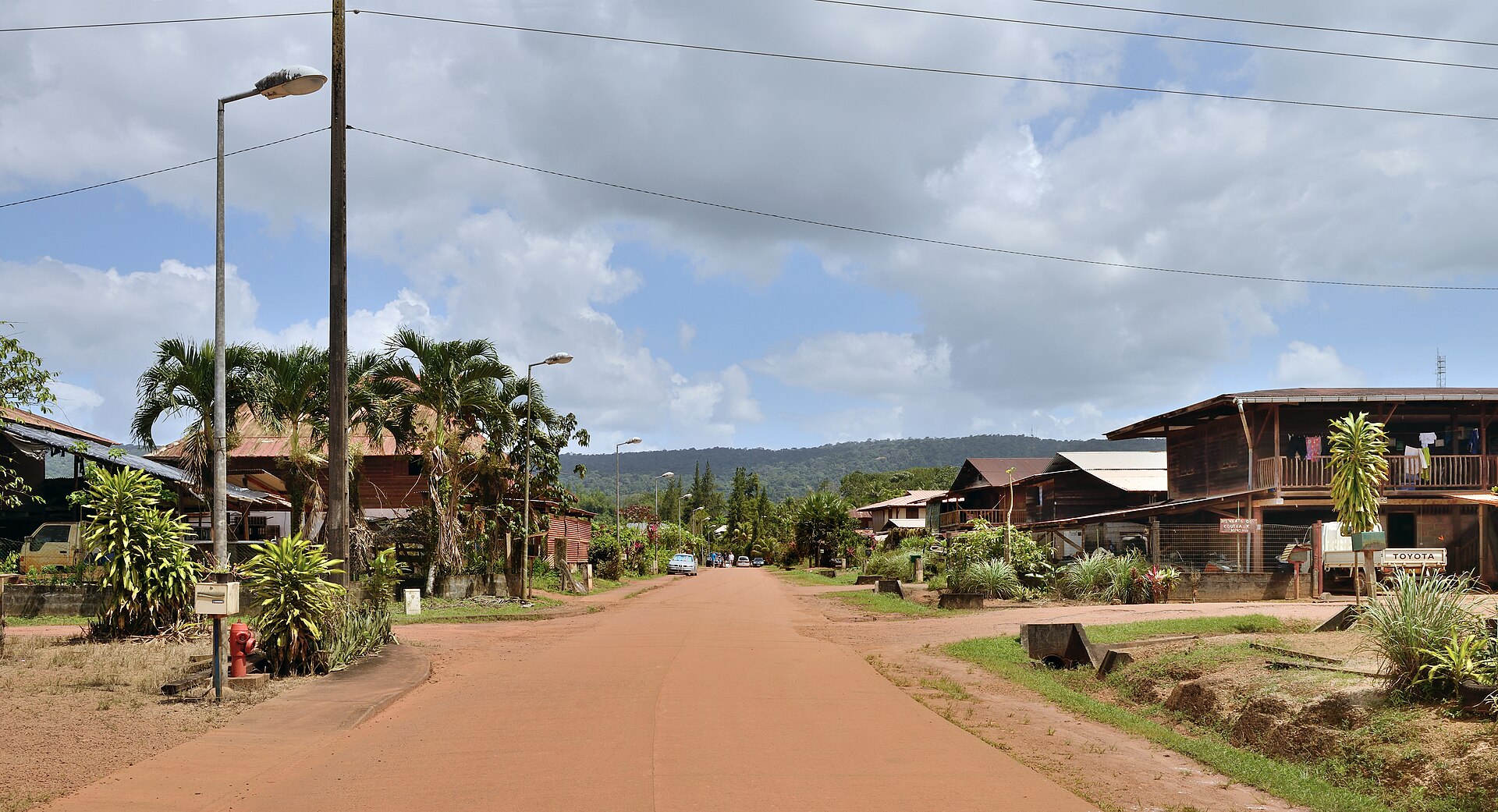 Cacao