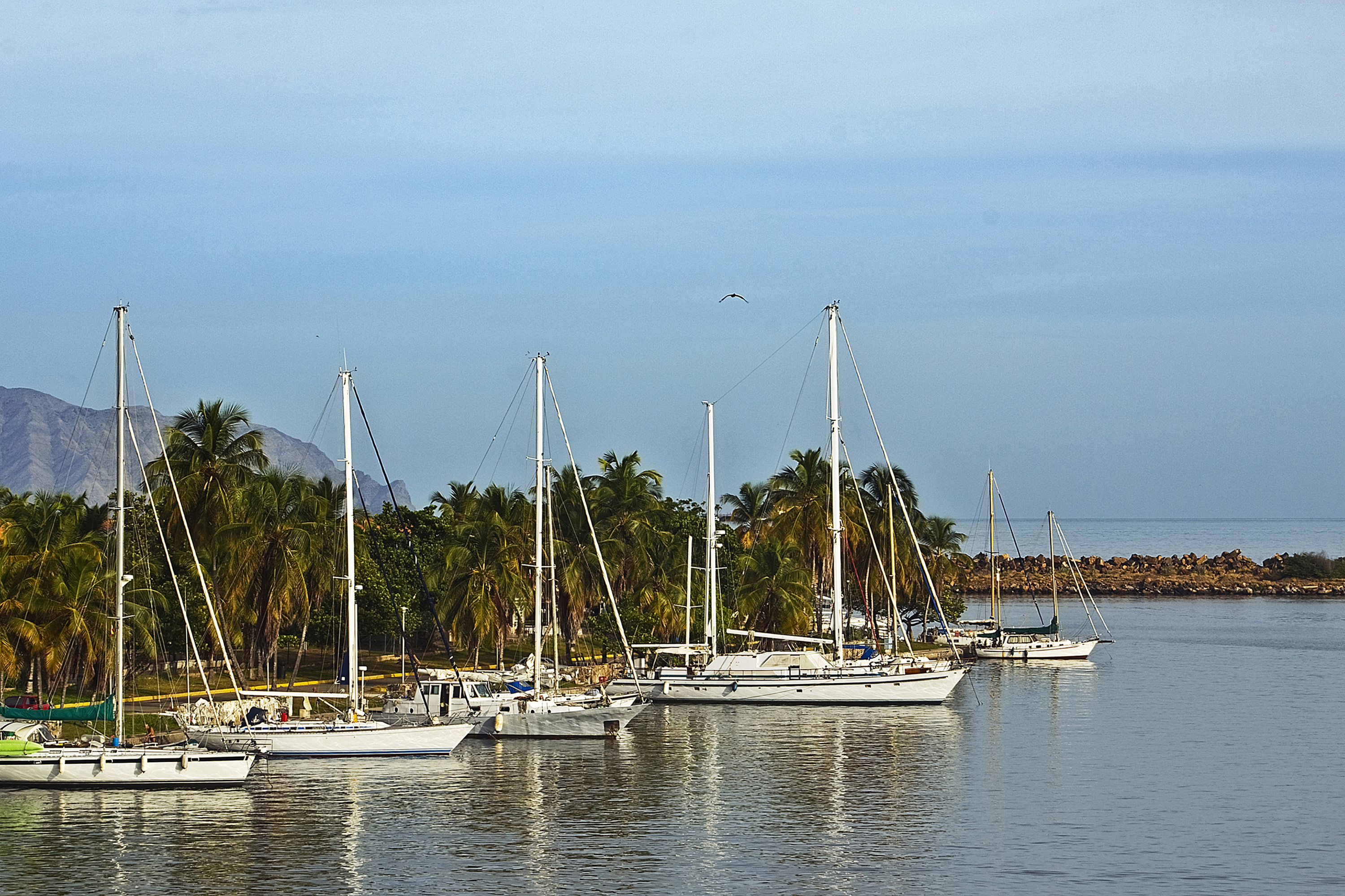 Puerto la Cruz